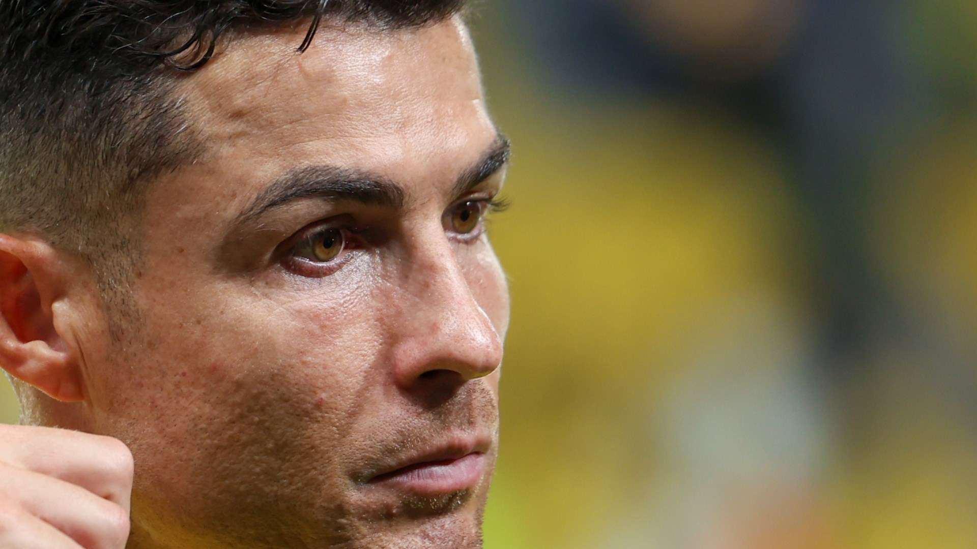 而这一点也 而这一点也