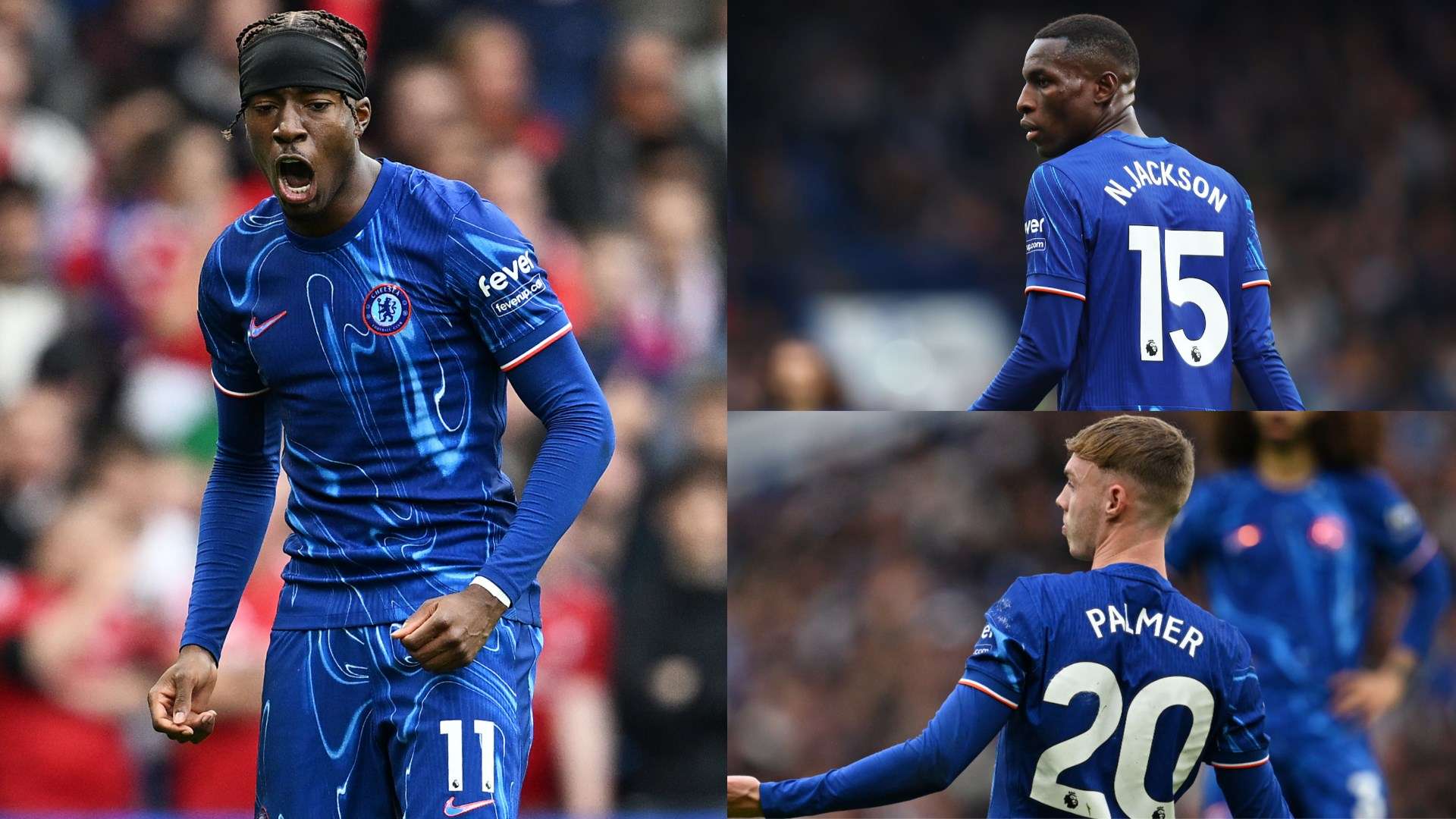 泳坛传奇的 泳坛传奇的